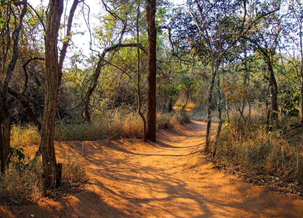 שלושלואי Umkhumbi Lodge מראה חיצוני תמונה